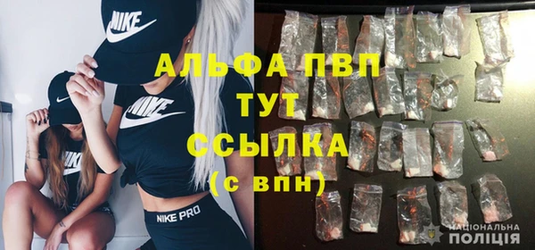 тгк Алексин