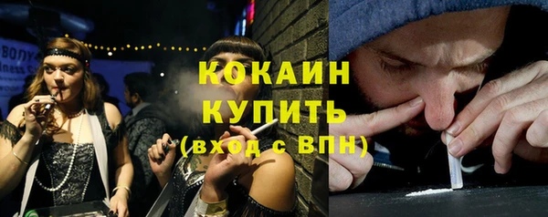 тгк Алексин
