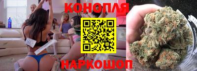 крисы Кимры