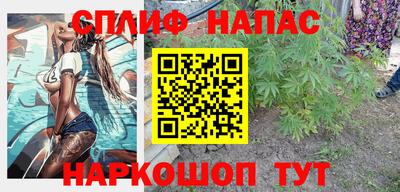 хмурый Кингисепп