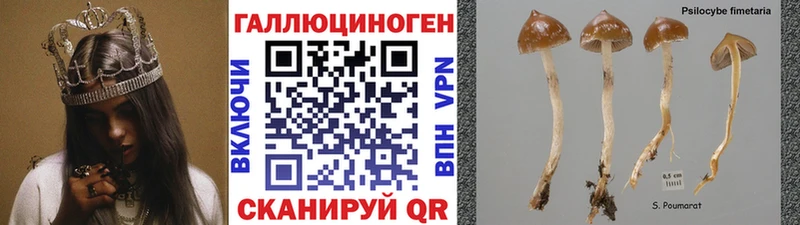 Псилоцибиновые грибы прущие грибы  сколько стоит  Конаково 