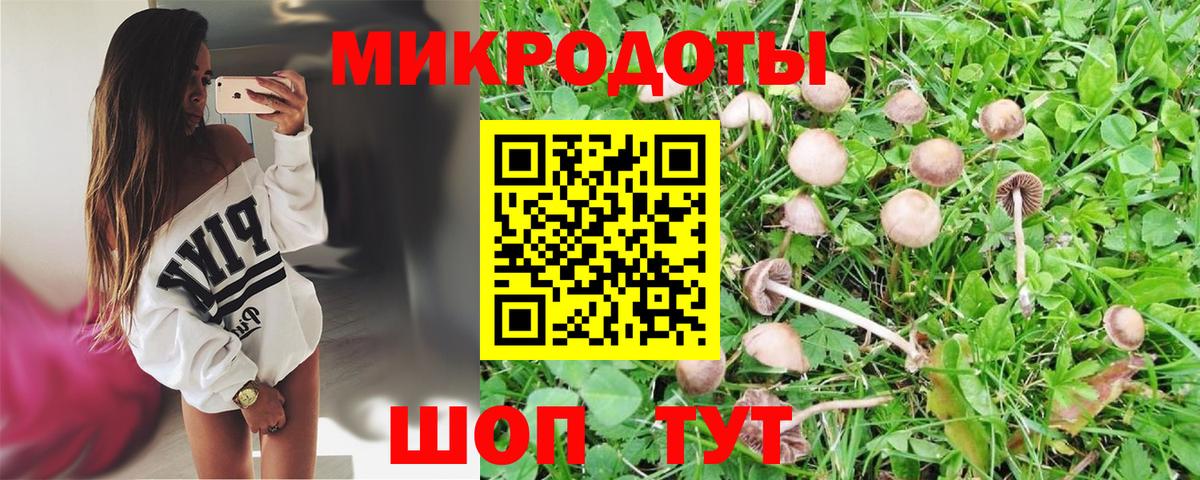 Псилоцибиновые грибы прущие грибы  Вход с VPN  что такое наркотик  Конаково 