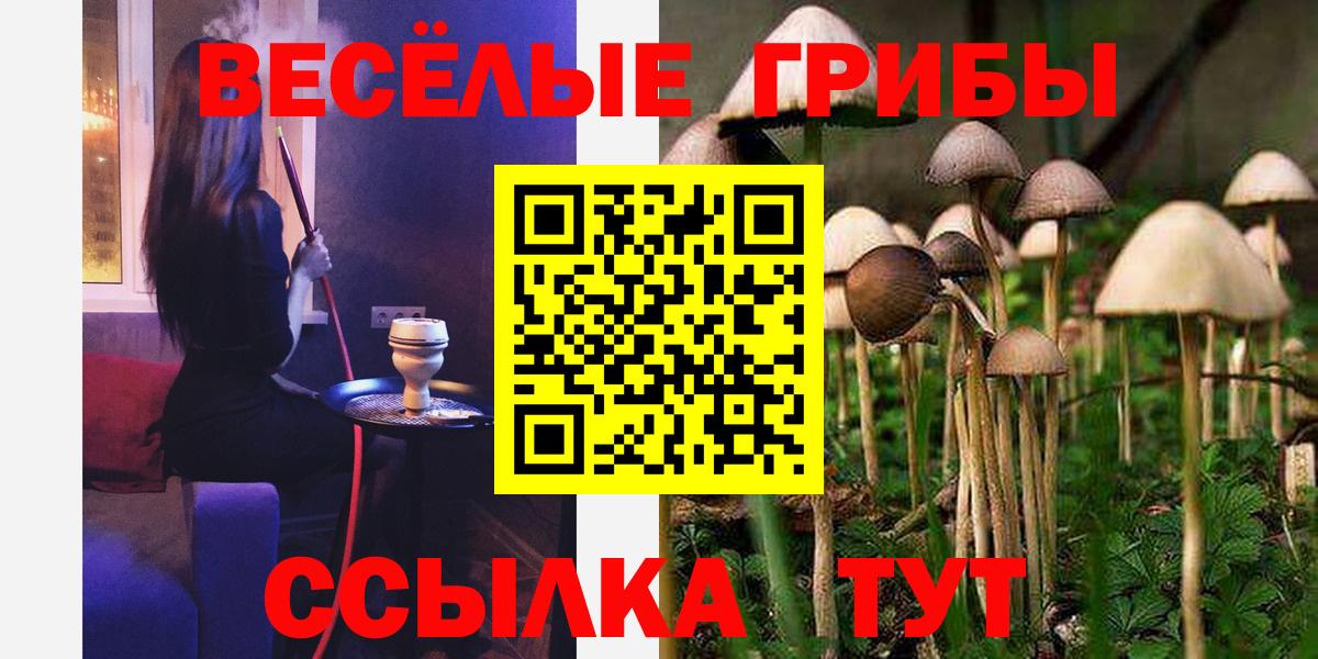 Галлюциногенные грибы GOLDEN TEACHER Конаково